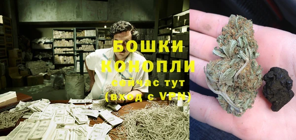 PSILOCYBIN Абаза