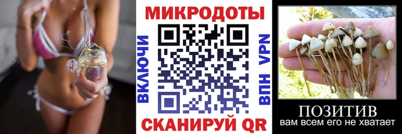 Галлюциногенные грибы мухоморы  Спас-Клепики 
