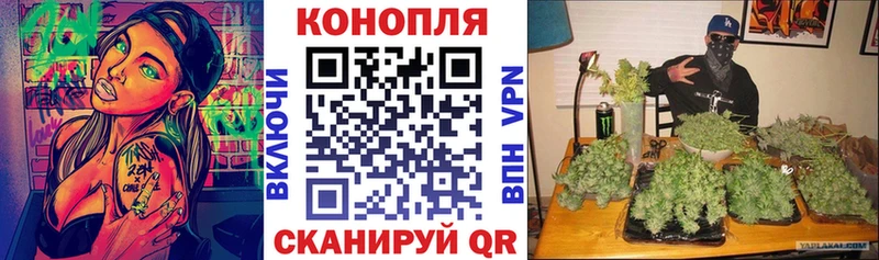 Канабис OG Kush  omg как войти  Спас-Клепики 
